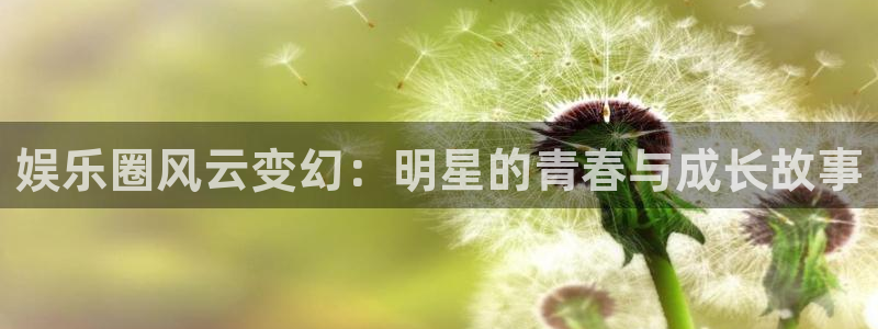 杏鑫娱乐