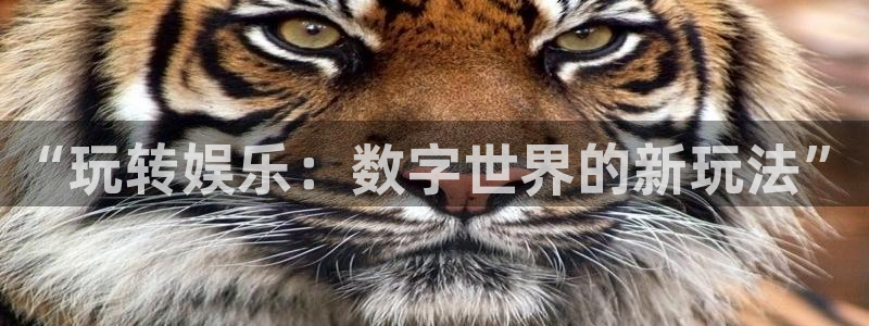 杏鑫娱乐