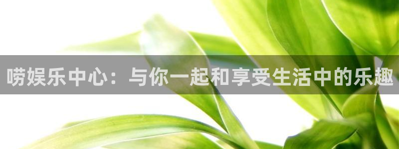 杏鑫娱乐