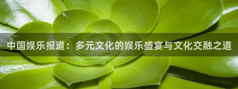 杏鑫娱乐