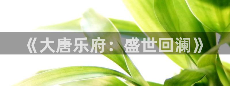 杏鑫娱乐