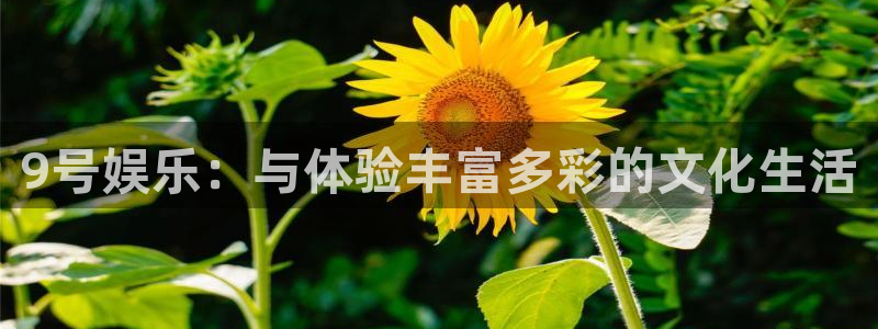 杏鑫娱乐