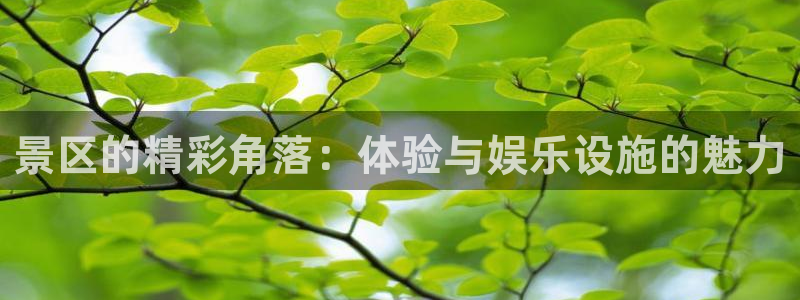 杏鑫娱乐