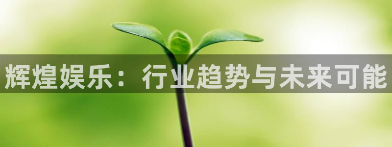 杏鑫娱乐